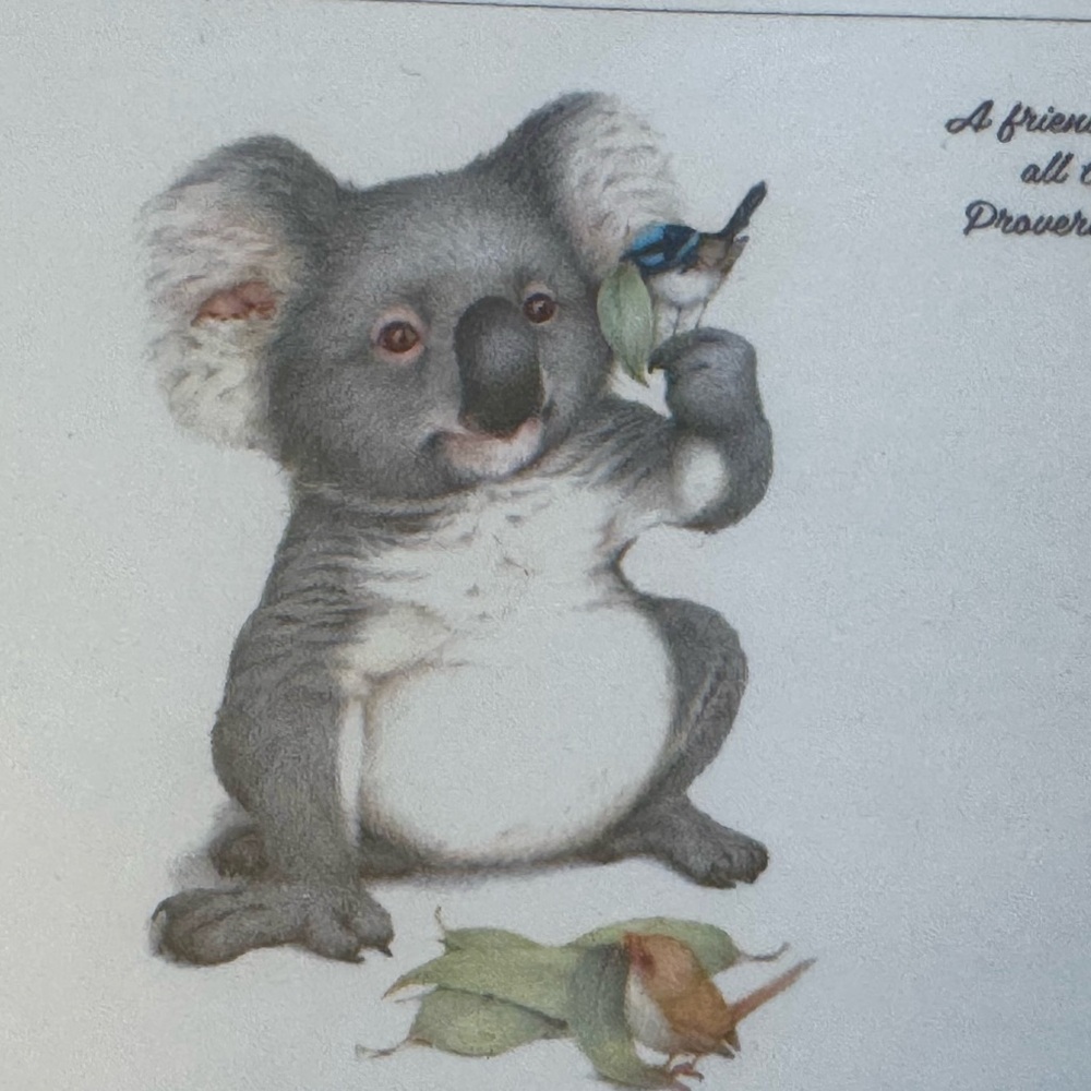 Lenny Pelling Cork Back Placemats Scripture Set 6 Australian Animals Linen Press